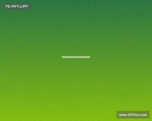 过去一个赛季出战次数最多的劳模阵容盘点与分析